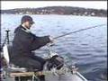 Channel Cat Caught Jigging