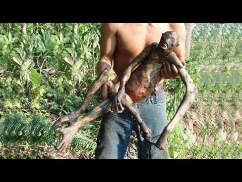 Image de prévisualisation YouTube