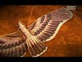 ancient-china-developed-advanced-tech-pt-3.html