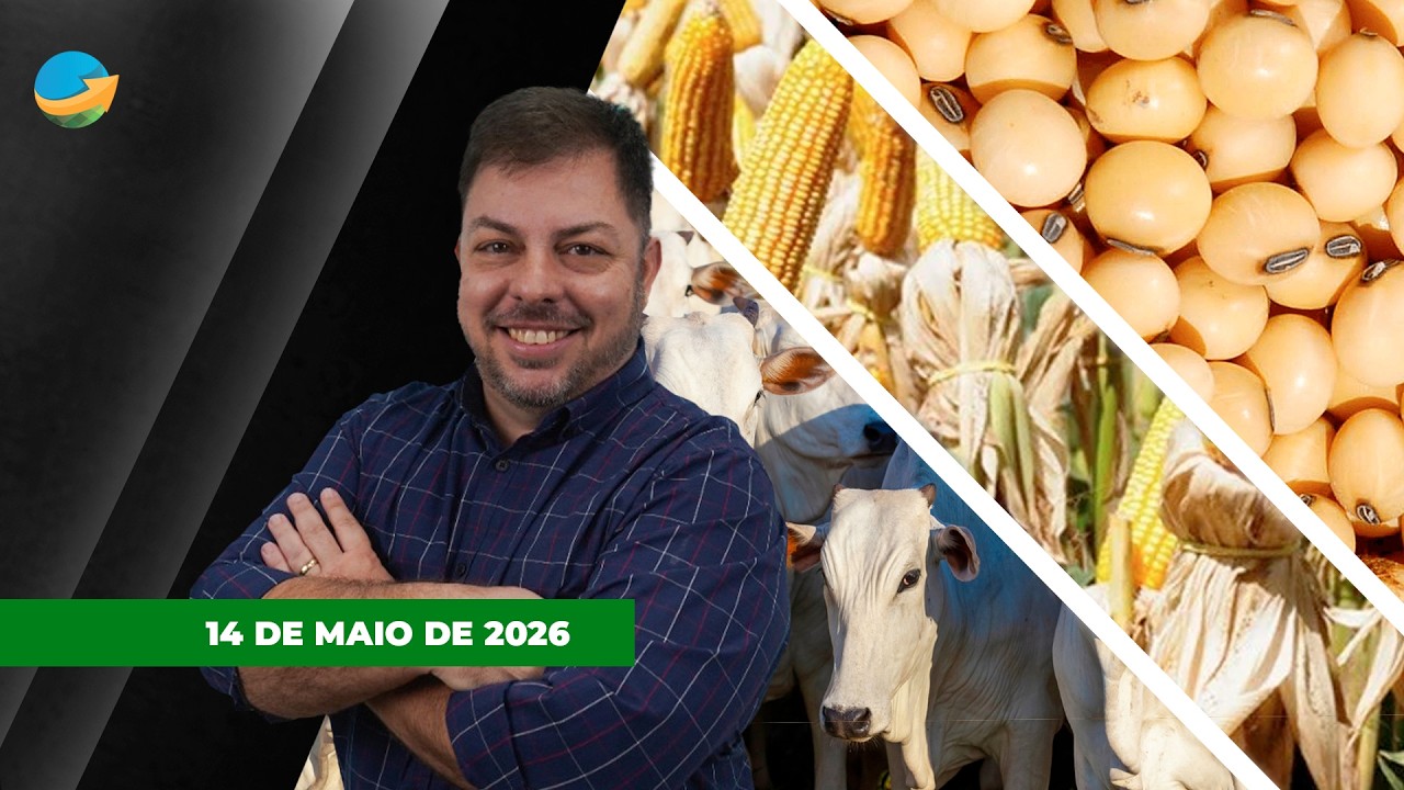 FECHAMENTO DE MERCADO - EDIÇÃO 14-05-2026