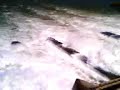 Le Barrage de Kemps (Canal d\