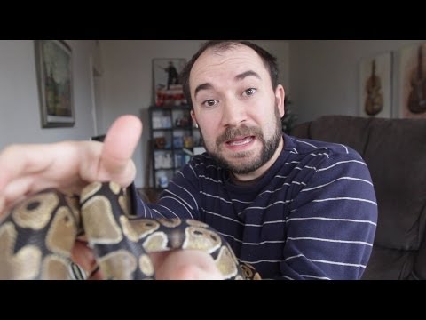Snakes vs Aliens
