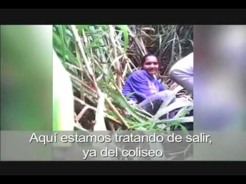 Imagen de previsualización de YouTube
