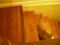Cheetos stair climbing (chow chow)