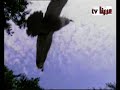 comedy מצחיק اضحك مقالب مضحكة arabna 1