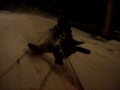 funny winter