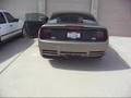 2005 Saleen Mustang with Straight Pipes View Video