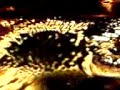 ferrofluid strange behaviour
