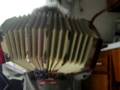 videos de Timmy (3) on concertina