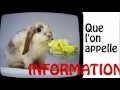 je ne suis même pas un V.I.P