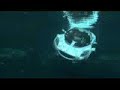 Rinspeed sQuba Concept Diving Vehicle