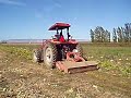 Eatwell Farm Flail Mower in action Eatwell Farm Flail Mower in action