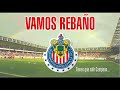 Chivas Campeon!!!!!!!!!!!