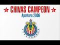 Chivas Campeon!!!!!!!!!!!