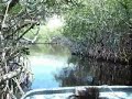Air Boat Ride In The Florida Everglades