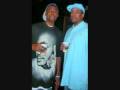 videos de MY LIFE FREESTYLE- JLR AND TZ