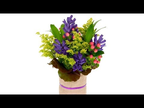 how to care hyacinth