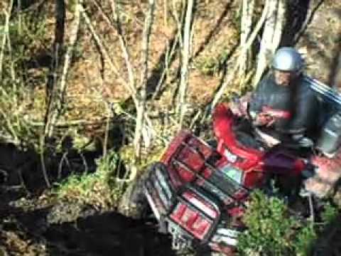Guarda il video
