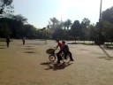 odontobike