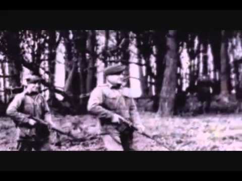 Inside LSD Full Length Documentary