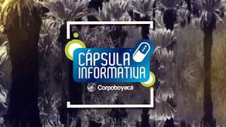 Cápsula informativa Corpoboyacá 12 al 16 de Febrero 2018