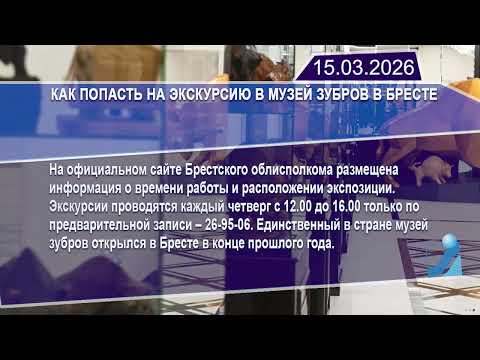 Новостная лента Телеканала Интекс 15.03.26.