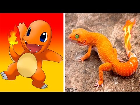 Pokemon Film 9 Stream Deutsch