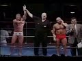 SandStorm Wanderlei Silva HL