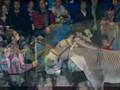 Ringling Bros. Circus at the Colonial Center