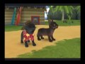 videos de Catz movie walkthrough part 17