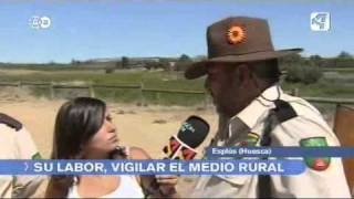 ROBOS EN RUSTICO