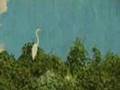 The Miches video - Dominican Republic