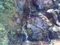 Natural Spring