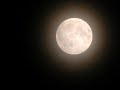 Ratti della Sabina - Fra Le Braccia Della Luna