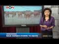Media Watch Nov. 20