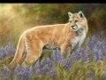 Wildlife Art: North American Wildlife Paintings by ...