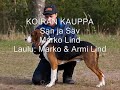 Tekijänoikeudet: Marko Lind