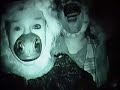 Goodbye Horses