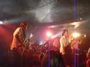 MONGOOSE HELL LAZERS @251