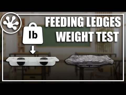 YouTube reptile video