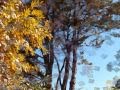 Las cuatro estaciones Fragmento Otoño de Vivaldi