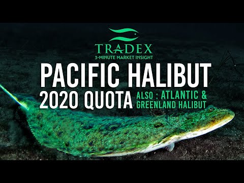 3MMI - IPHC Announces 2020 Pacific Halibut Quota, Atlantic Halibut, Greenland Halibut