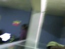 MARTITA ESCONDIDA MARTITA ESCONDIDA