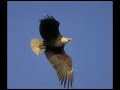 everlasting-god-chris-tomlin.html