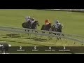 2008 Chelmsford Stakes, Gallant Tess