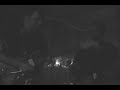 9th Wave with Robi from the Bitch Boys - Pipeline and Baja