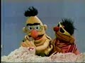 classic sesame street   ernie and bert at the beach