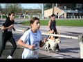 les cross
