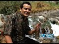 Wilfredo - TEMA/Paloma que vas volando