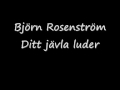 Björn rosenström-Ditt jävla luder
